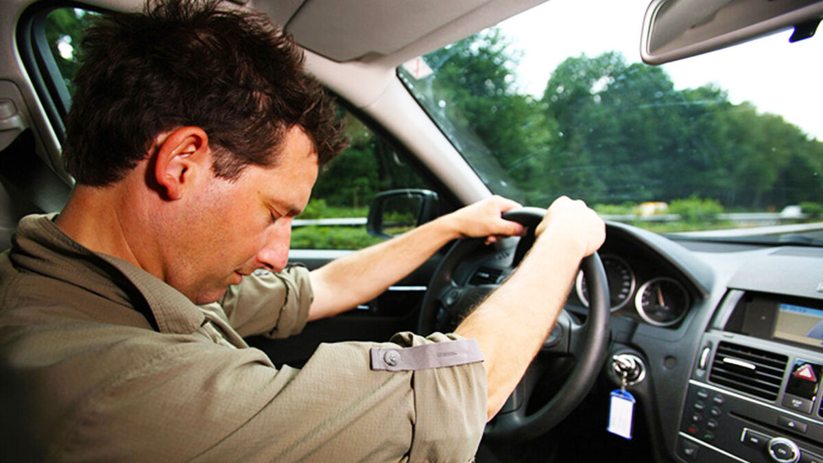 фото с сайта ptzgovorit.ru