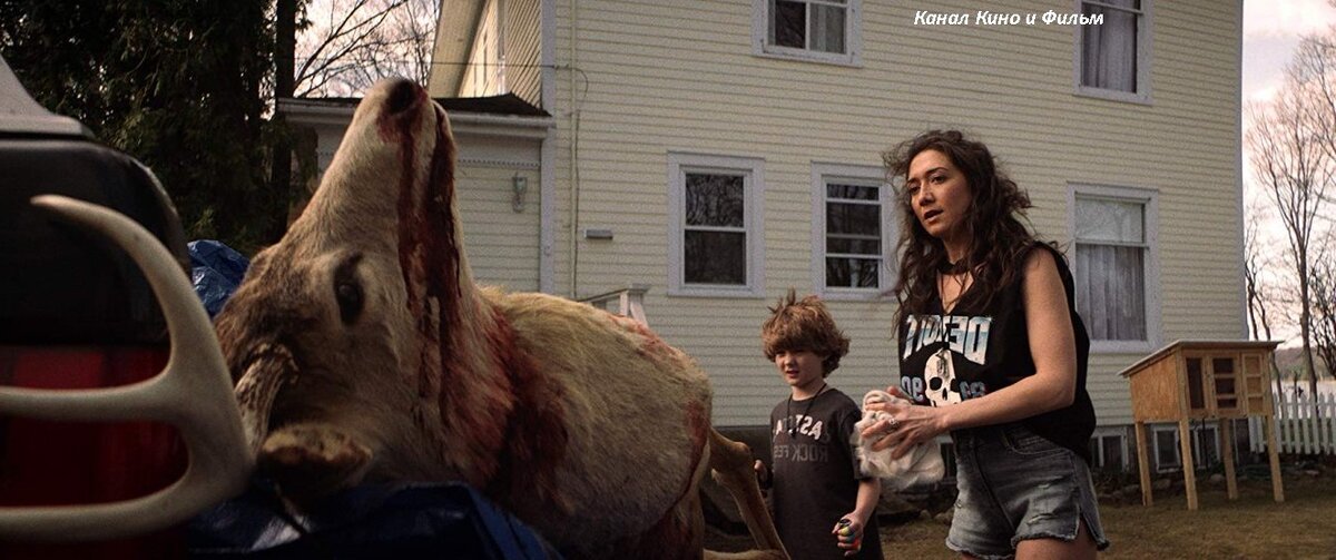 Фото из открытых источников где размещены иллюстрации для общего пользования