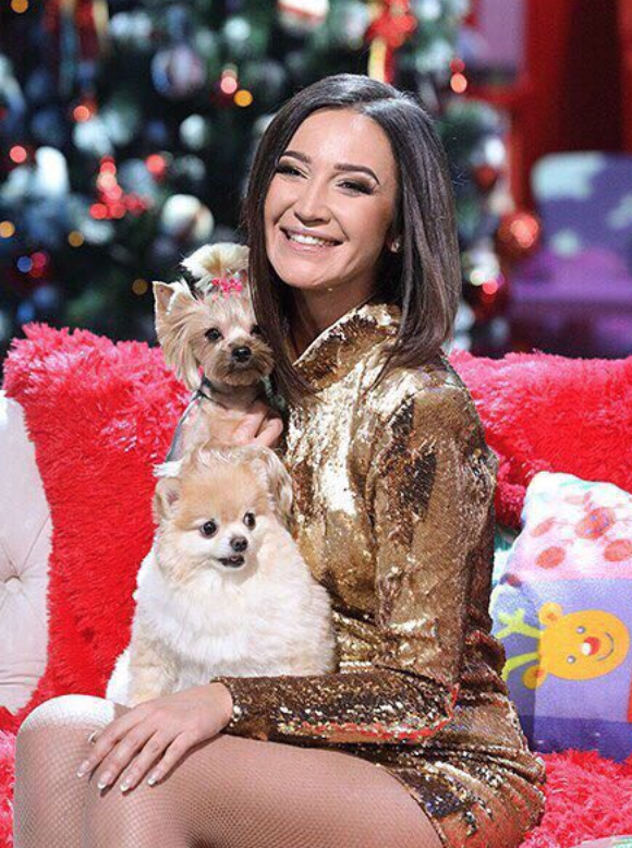 Йоркширский терьер Ева. Фото взято с сайта www.instagram.com/evachelsi