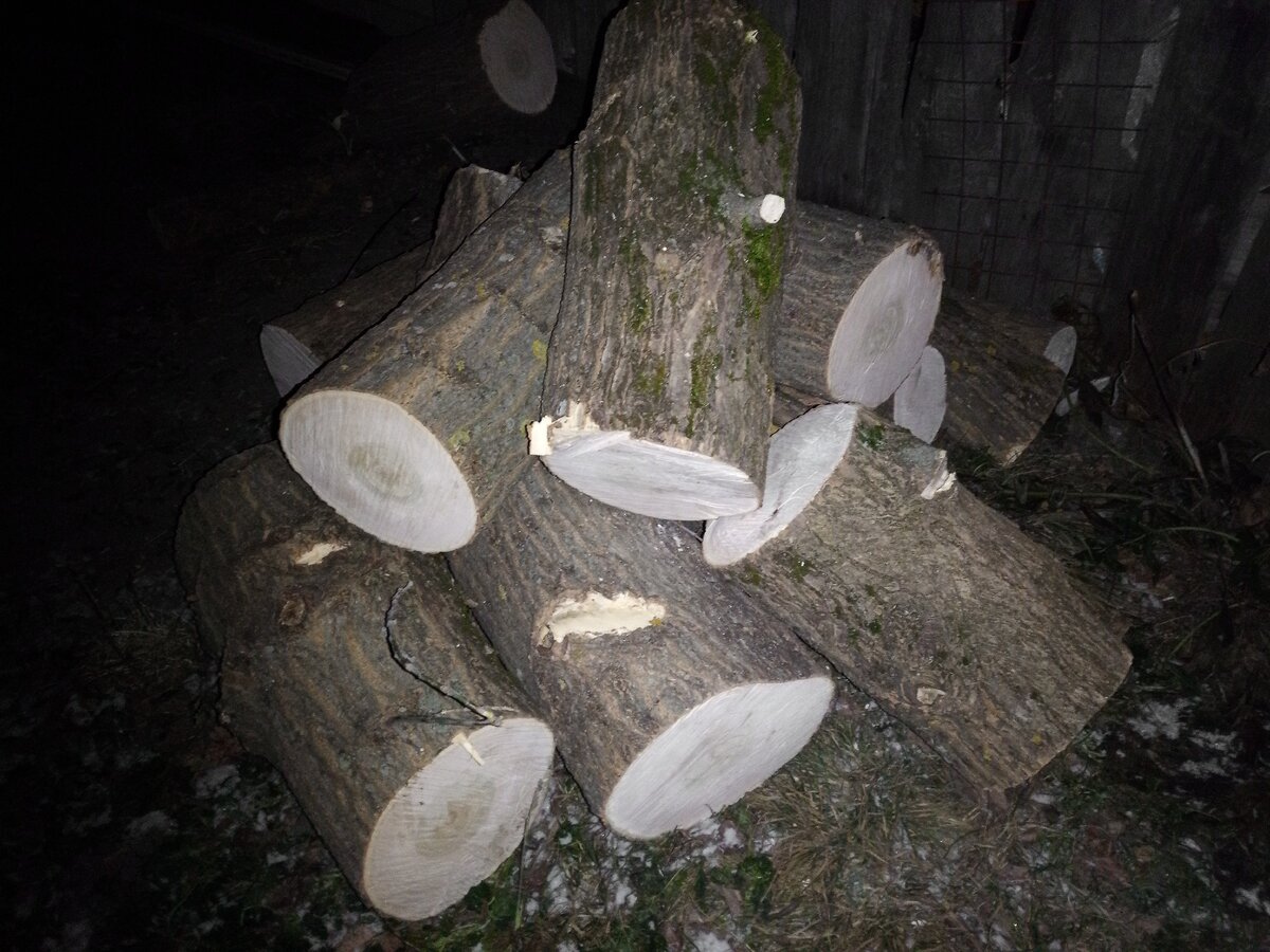 Спиленные деревья