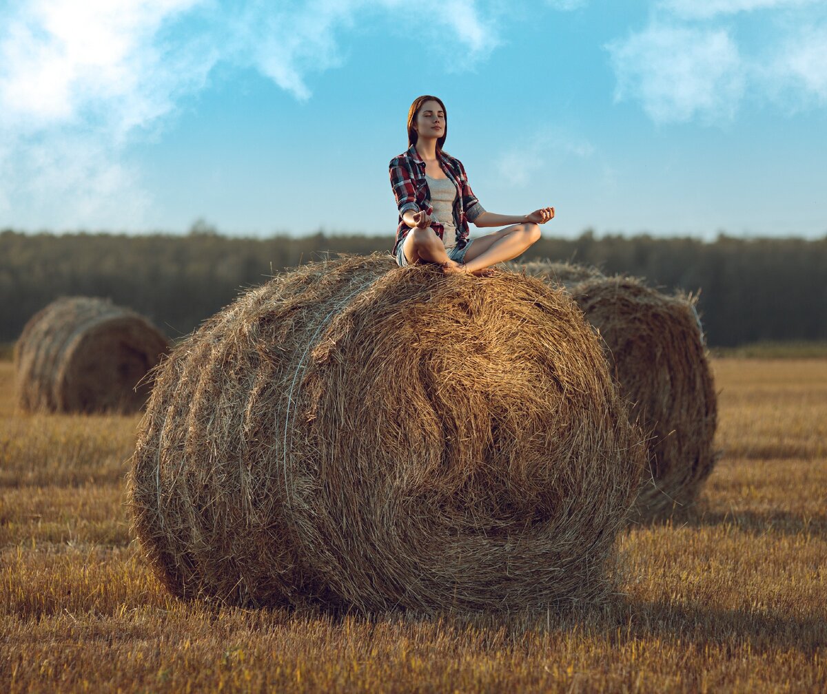 В чем счастье.
