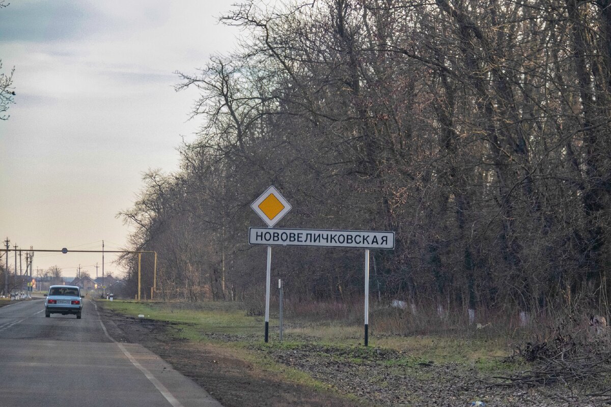 роща станица нововеличковская. нововеличковская краснодарский край. фото нововеличковская. станица нововеличковская. население станицы нововеличковской.