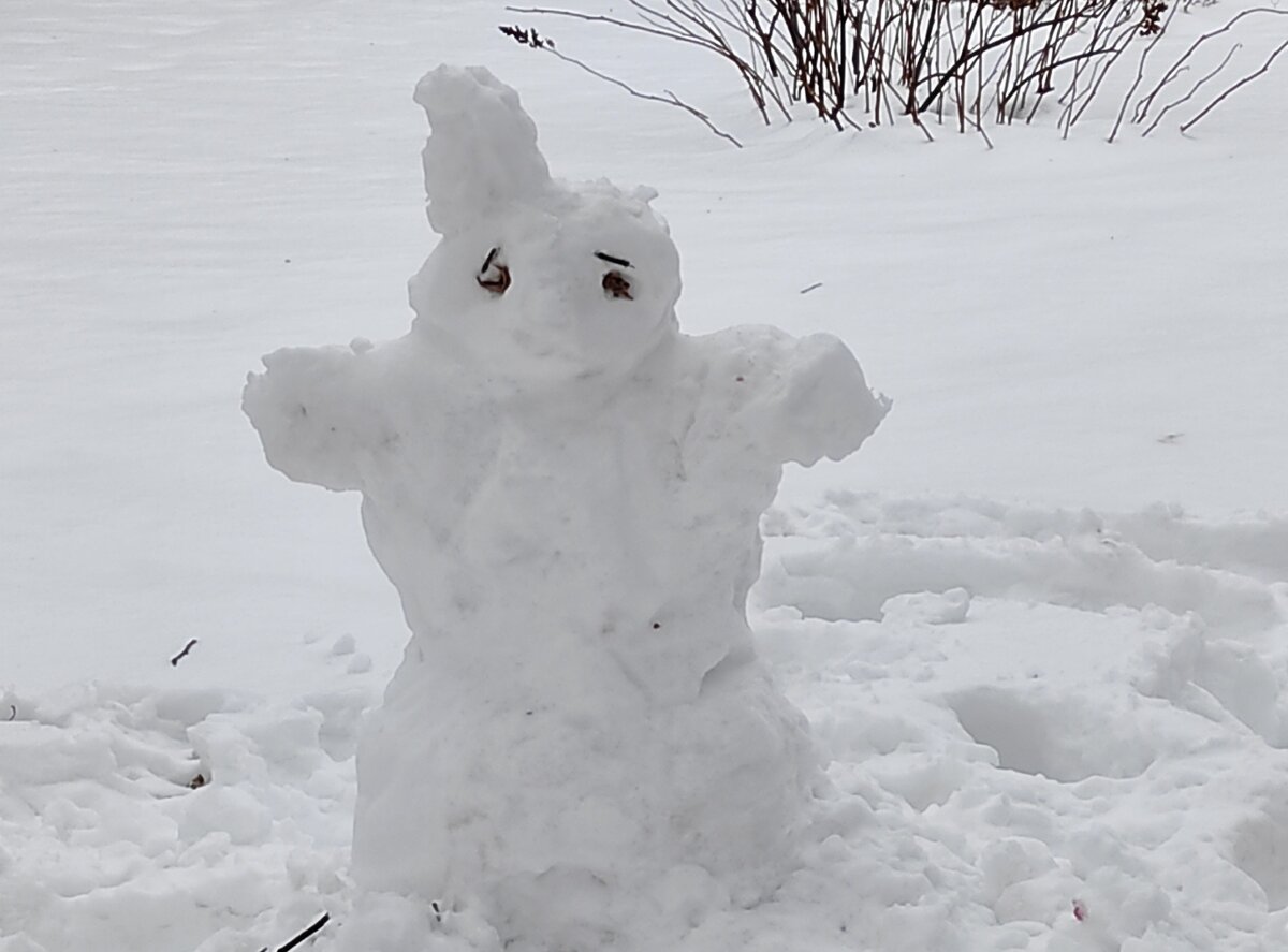 Фото является собственностью автора