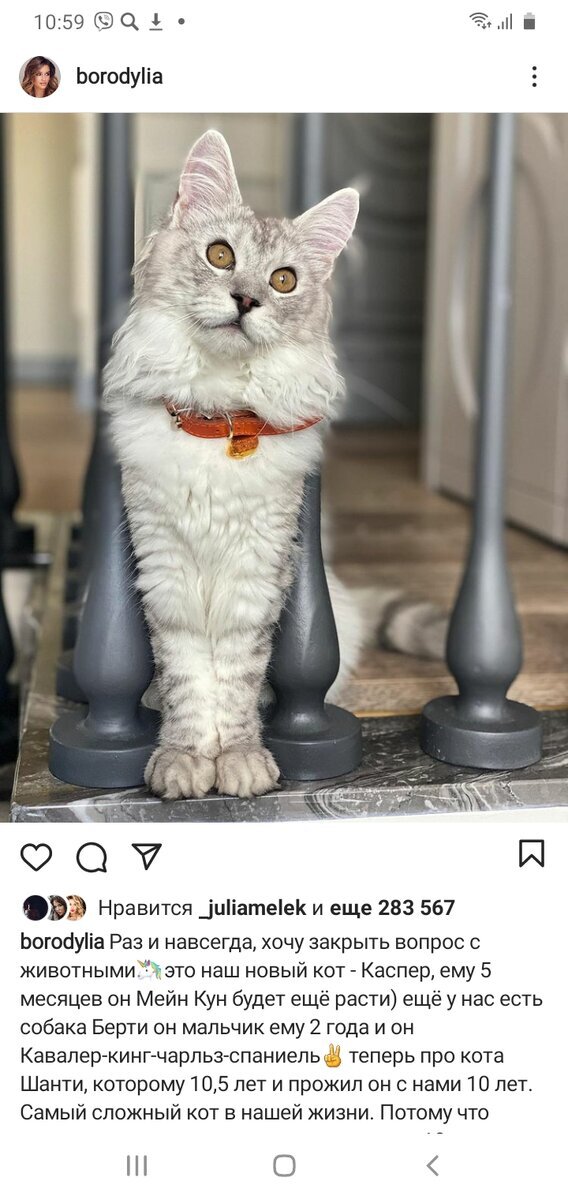 Фото из Instagram @borodylia