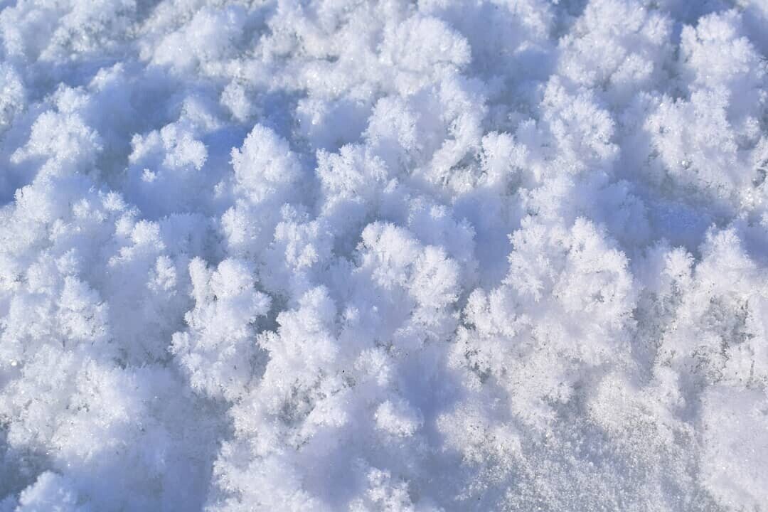 Фотография автора. 