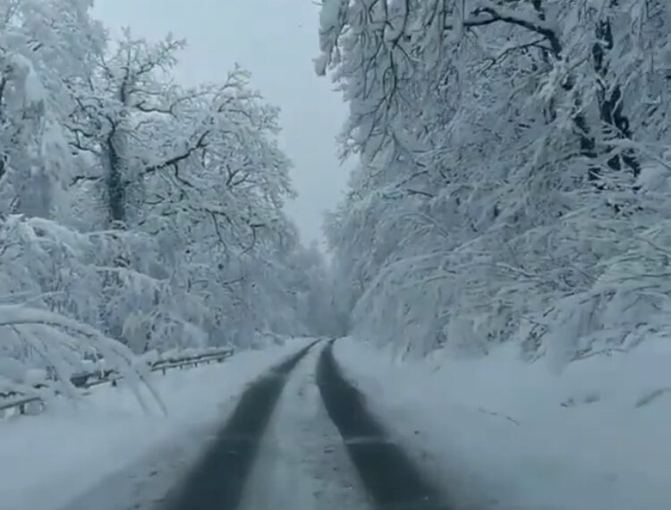 Фото:моё Дорога словно мылом смазана