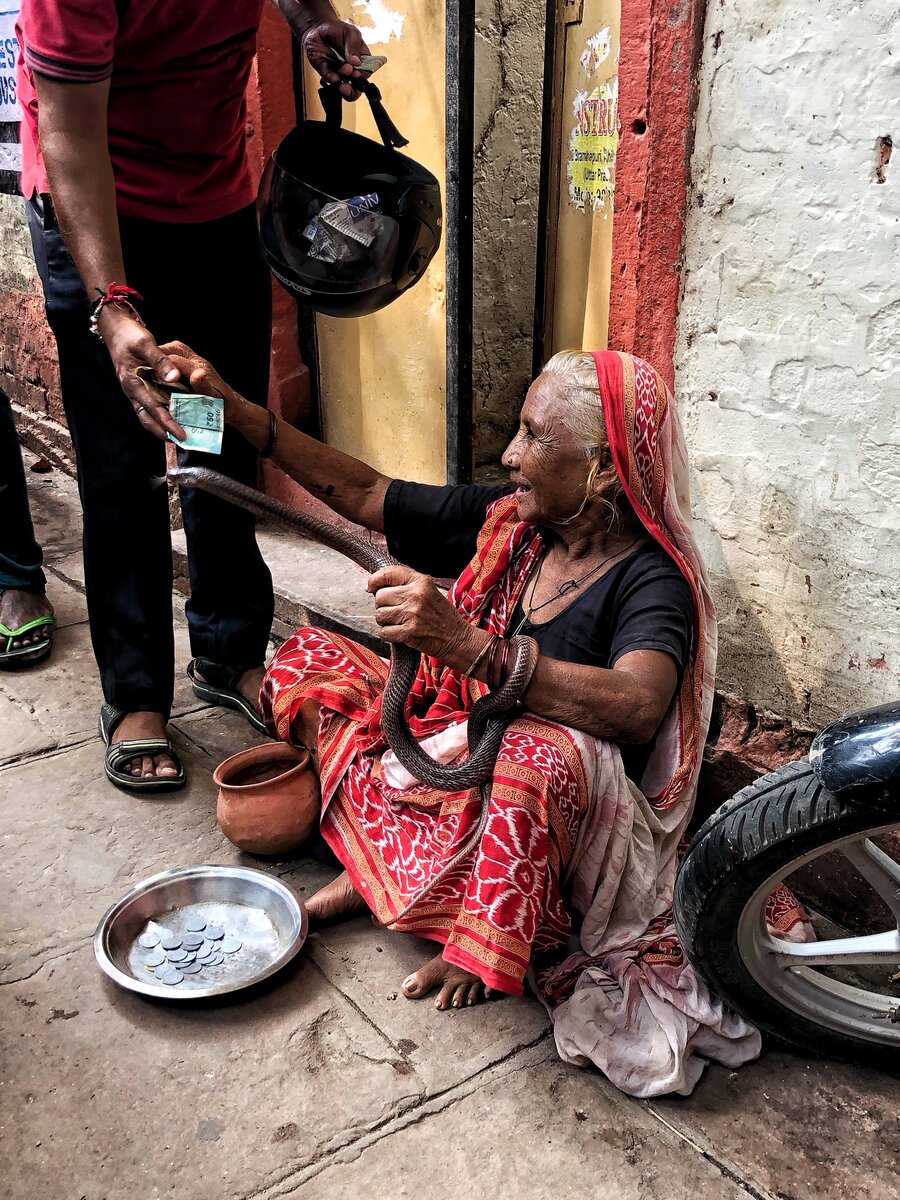 Настоящая заклинательница змей — каждый зарабатывает как может.