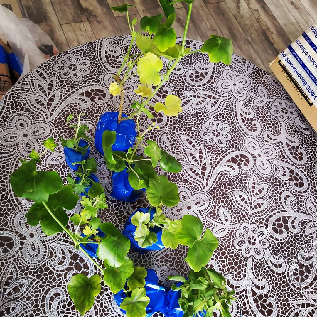 Вот так они выглядят после распаковки