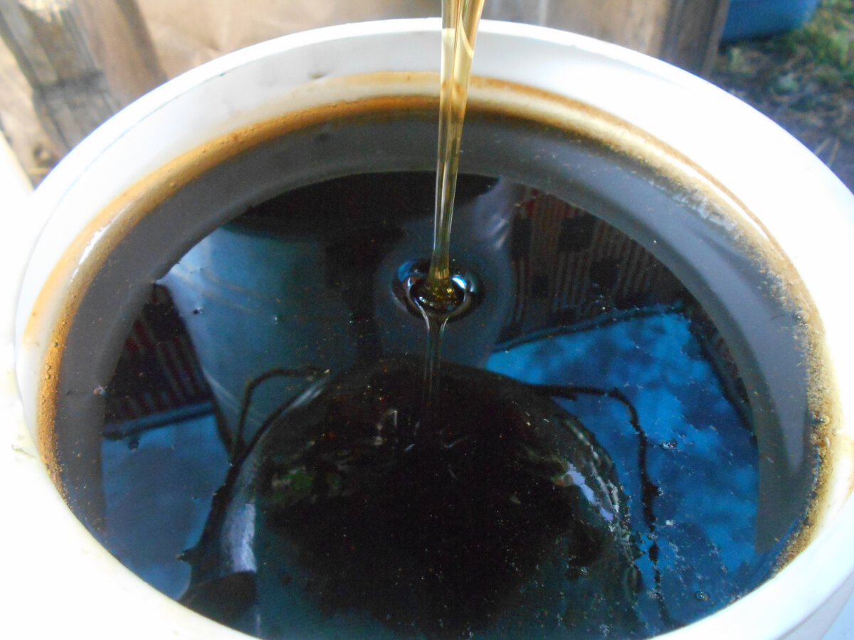                         Свежеоткачанный гречишно-разнотравный мед. Фото автора.