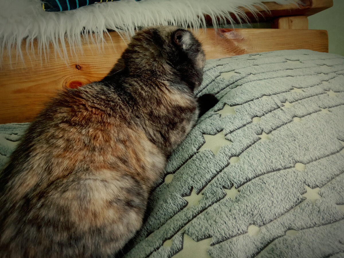 Без тебя обойдусь