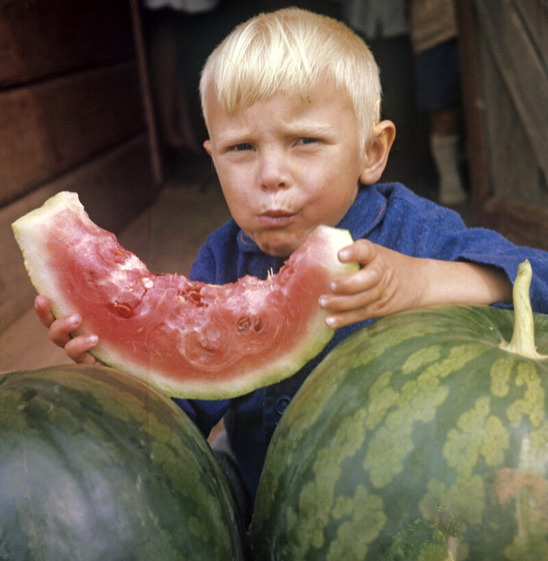 Фото с просторов интеренета