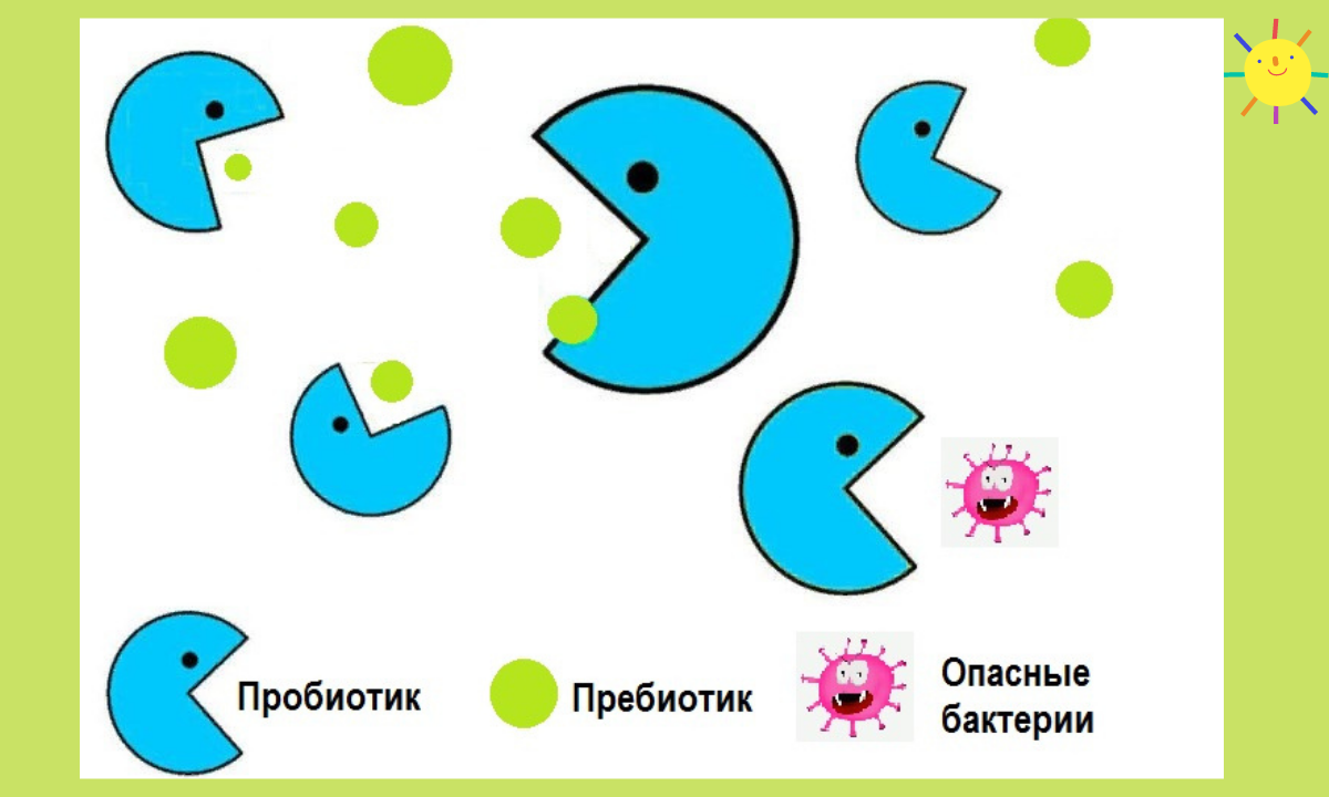 Пробиотики что это такое простыми словами