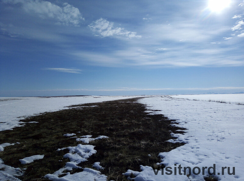 Безопасность в тундре - это, в первую очередь, опыт