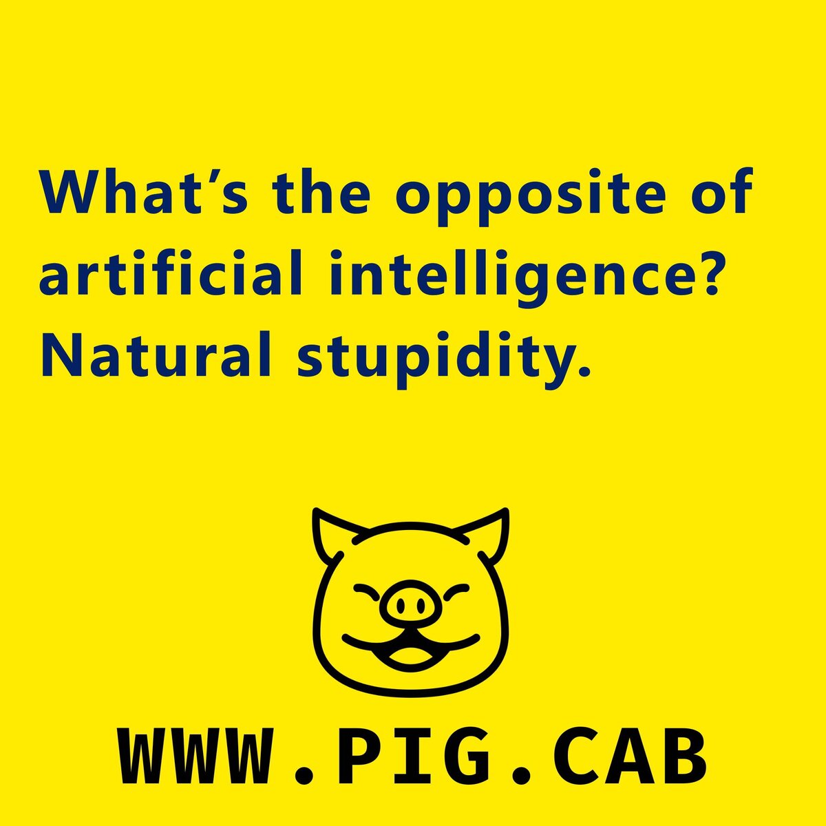 Английский язык в Белгороде: школы, курсы, репетиторы. Английский юмор 2022 пример 1