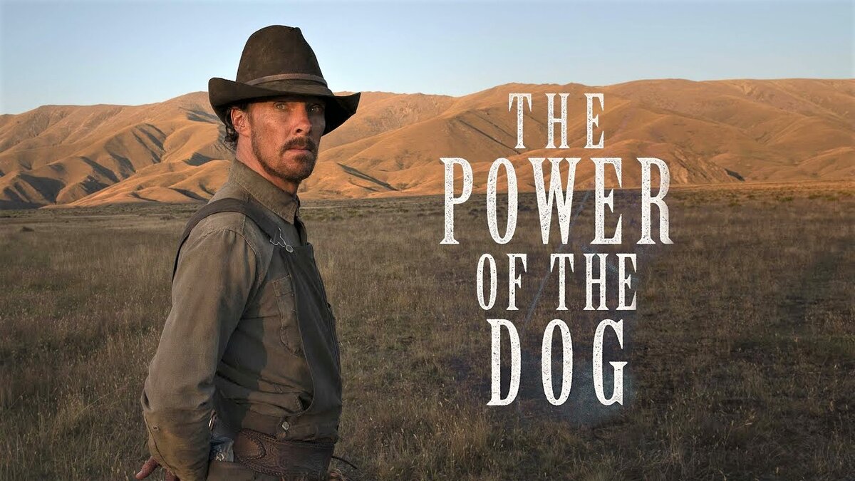 Случай на горбатой горе сделал из Фила не очень хорошего человека. Таких на «Оскар» за последние годы не приглашали. Кадр из к/ф «Власть пса».