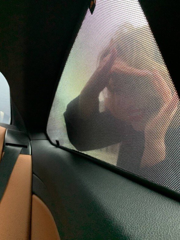 Шторки на стекла Трокот