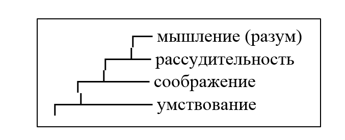 График развития уровней функционирования мозга