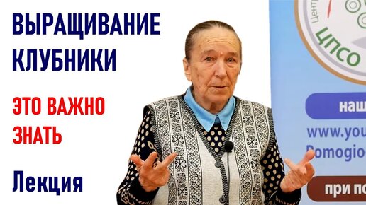 Все о выращивании клубники от Айтжановой С.Д. Выращивание земляники садовой.