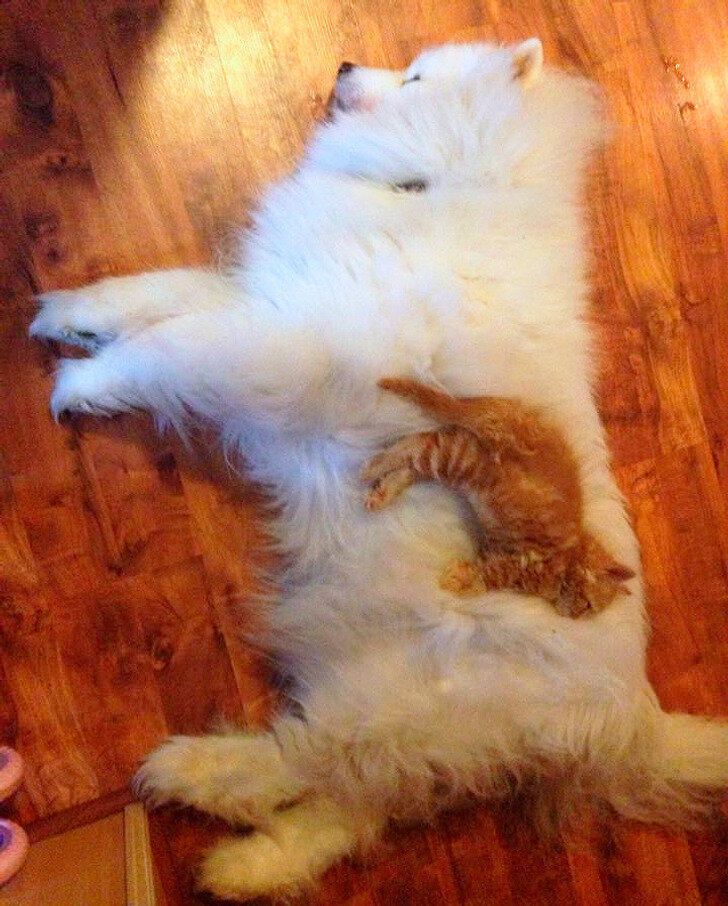 © takeiteasy802 / Imgur