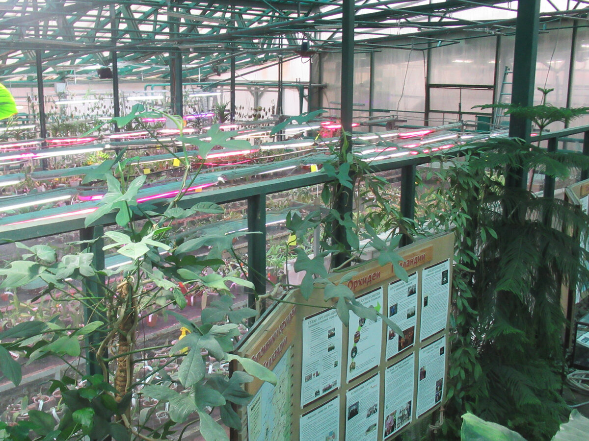 Отели рядом с Вологодский ботанический сад "Botanica" - найдено 25 отелей.