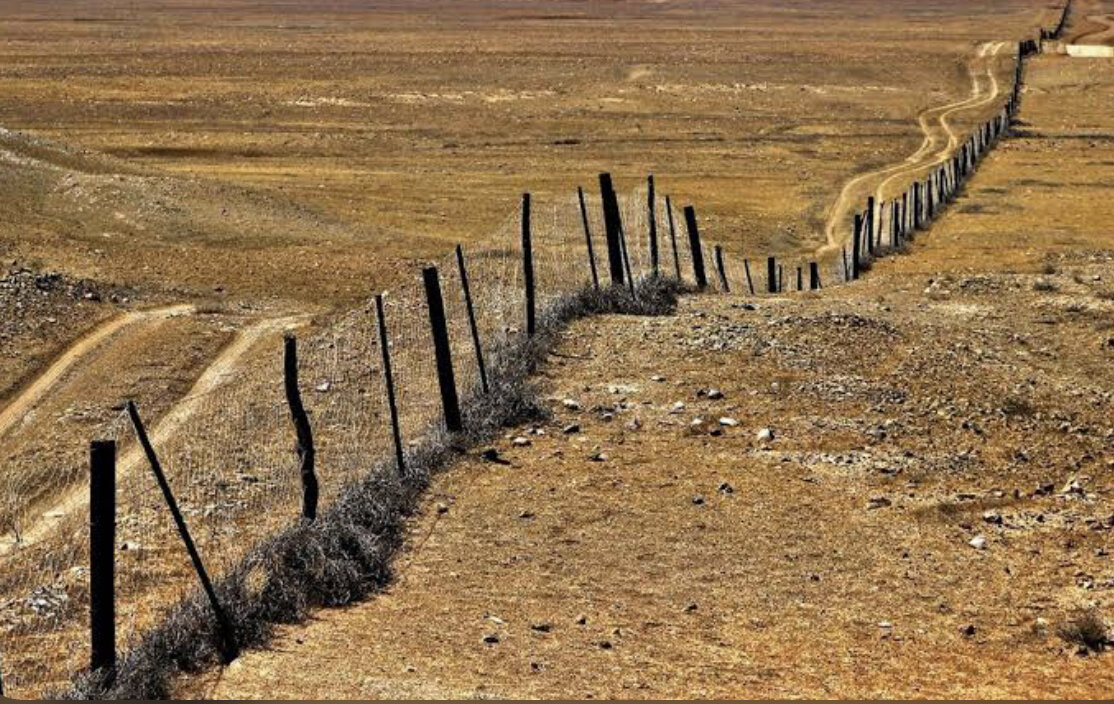 Австралийский забор 