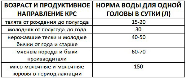 Поилки для КРС: виды и как сделать своими руками