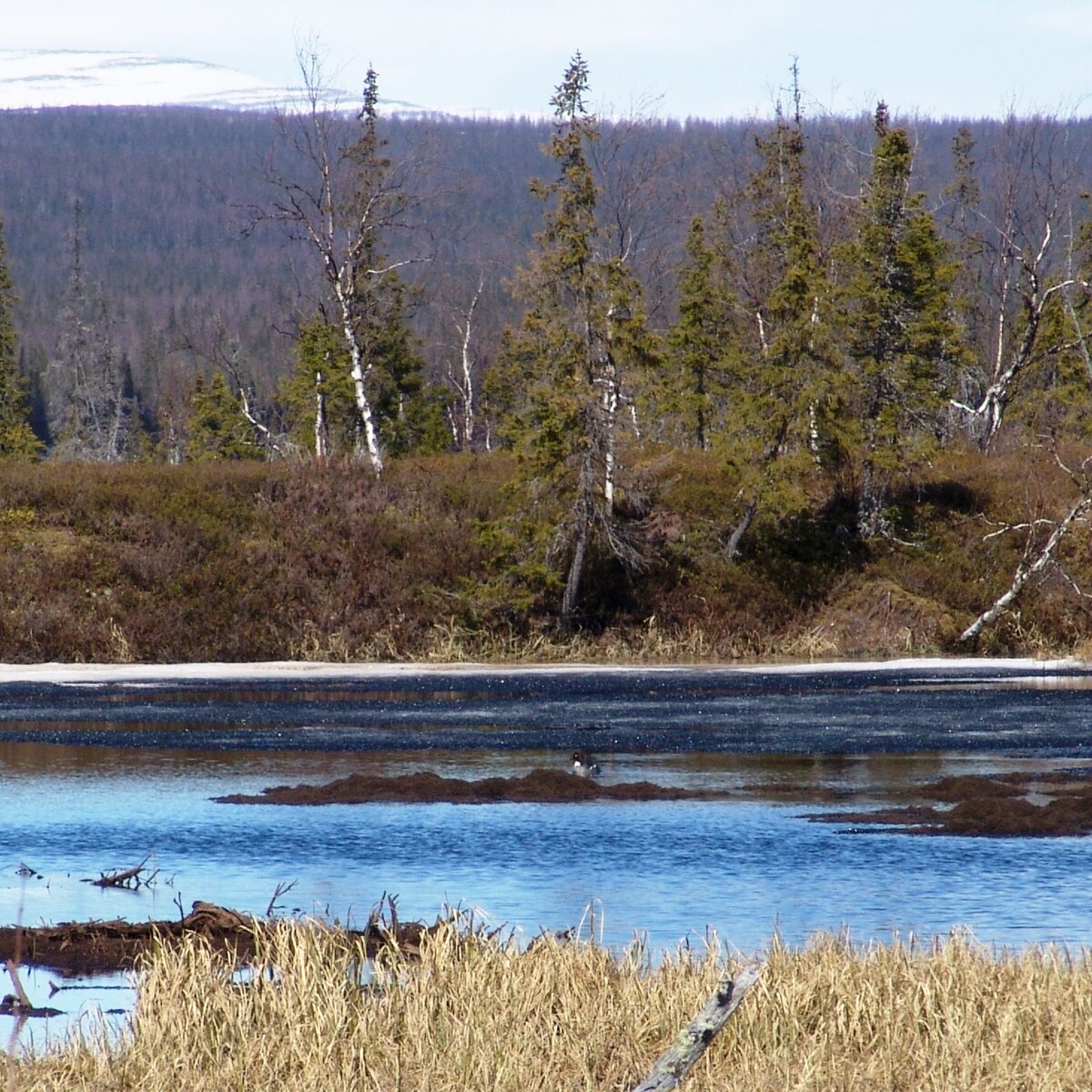 уже хочется открытых вод (фото автора)