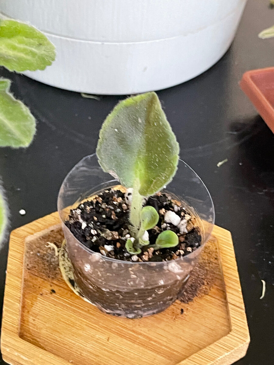 Вроде не все так плохо , детки растут