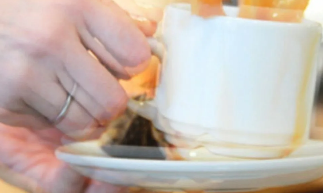 Фото: интернет