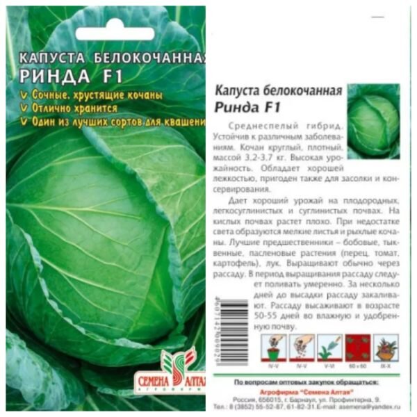 Капуста сорта фото отзывы