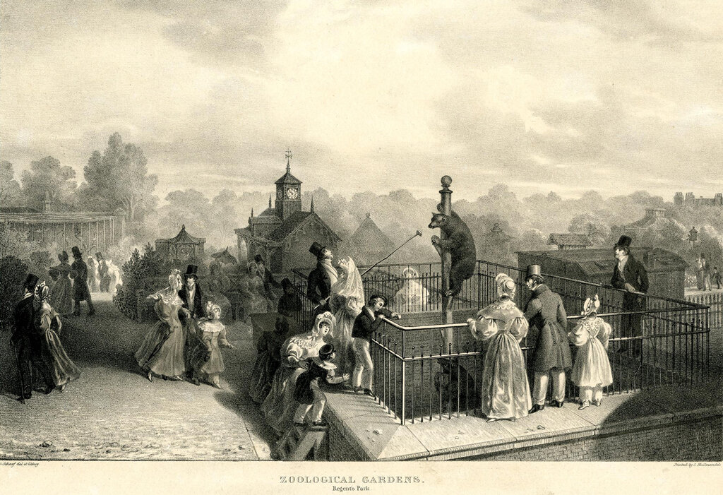 commons.wikimedia.org