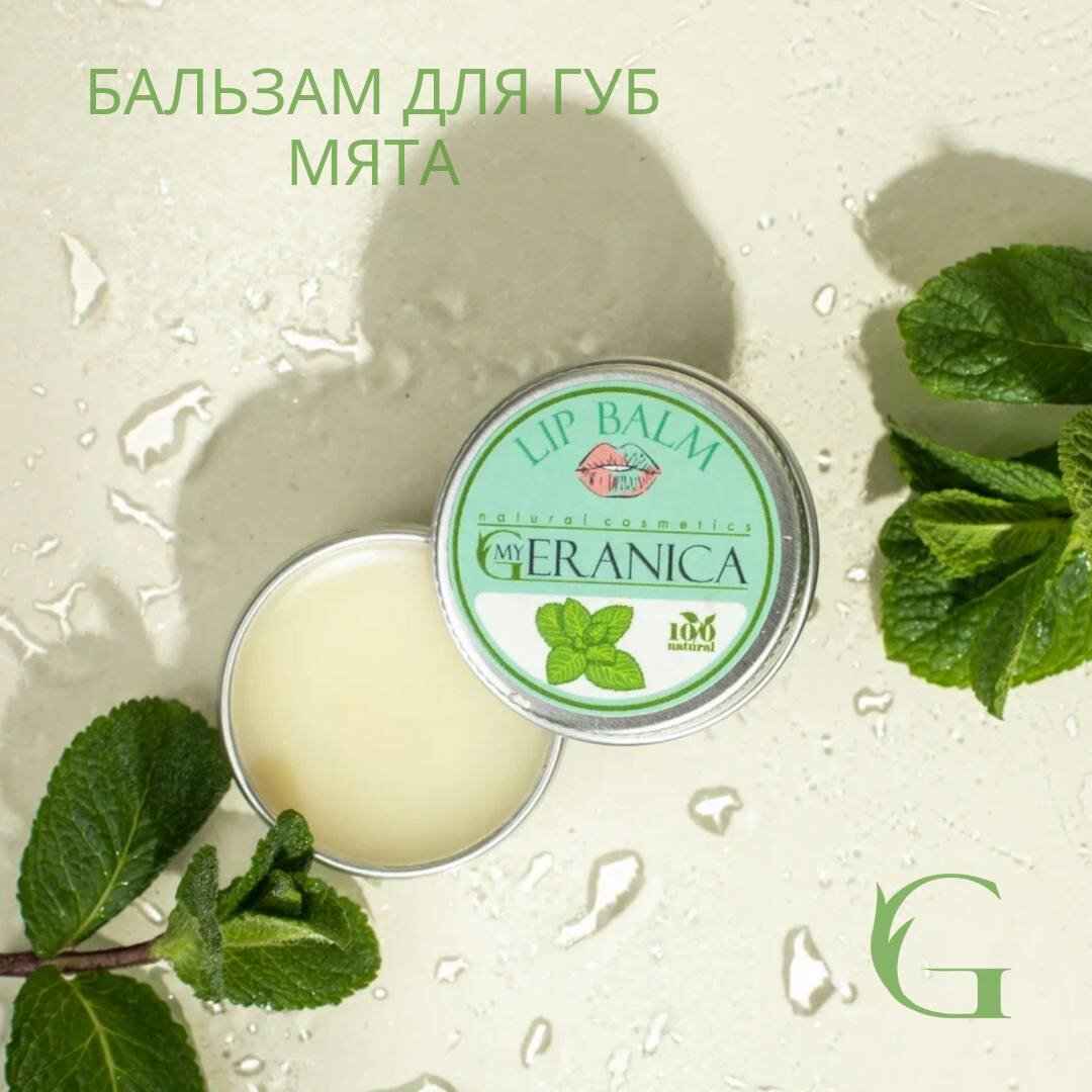 BLISTEX Mint Lip Balm Бальзам для губ мятный гр | Beauty Prof