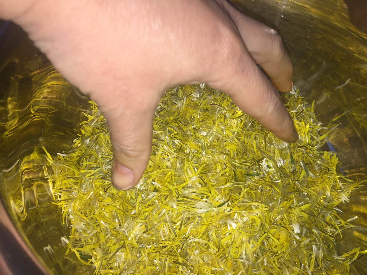 С цветочков убрать зеленое цветоложе, оставив только сами желтые лепесточки.