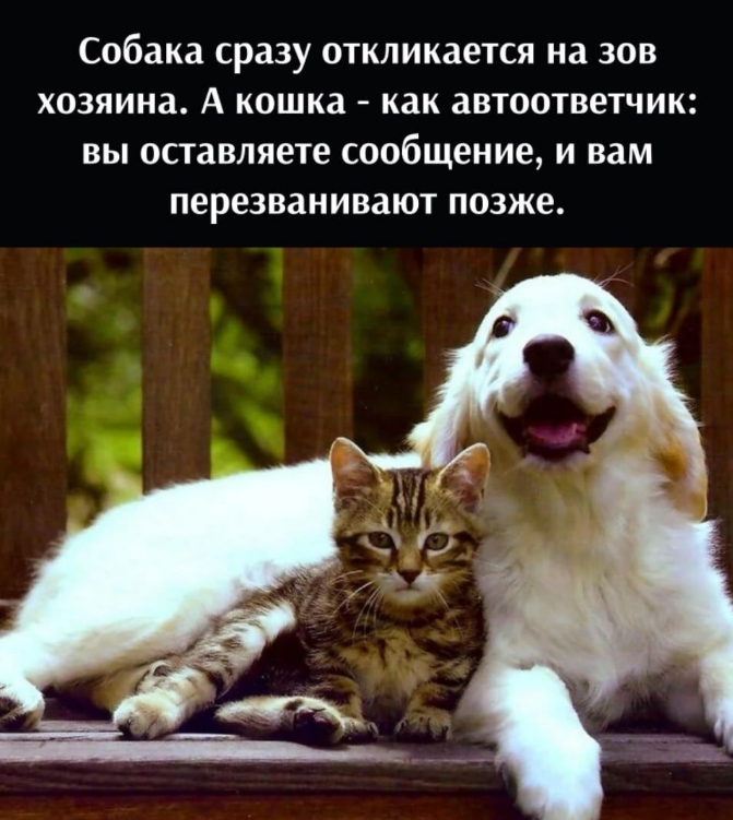 - ну да, ну да... Если только я не убежал за запахом =)))