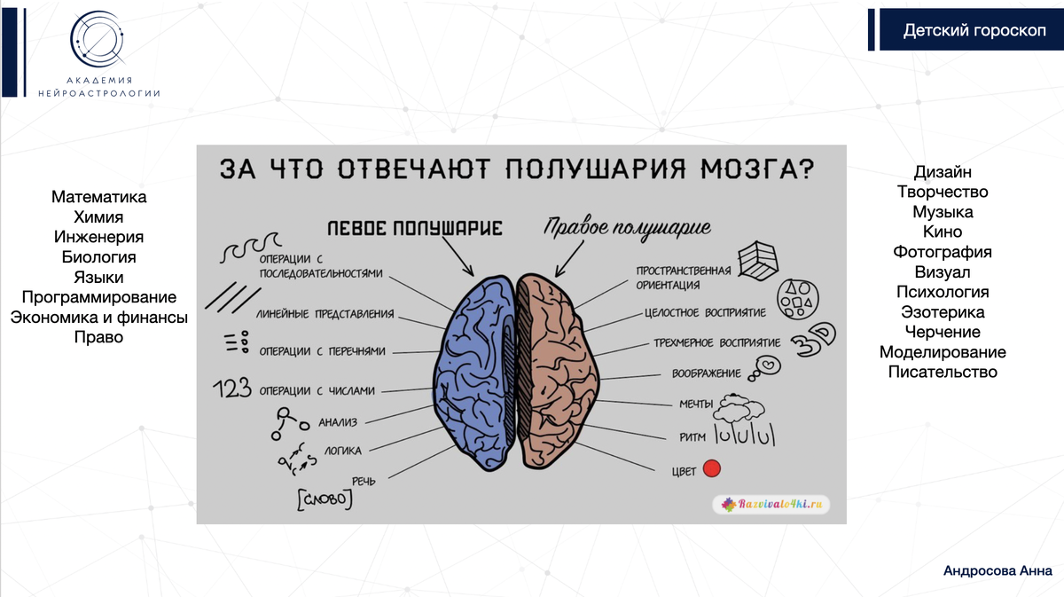Перечень школьных предметов и видов деятельности, относяшихся в левому и правому полушариям