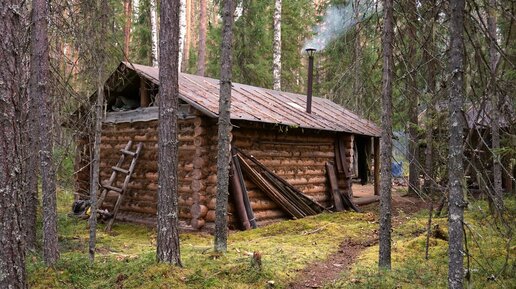 Наедине с тайгой фото избы