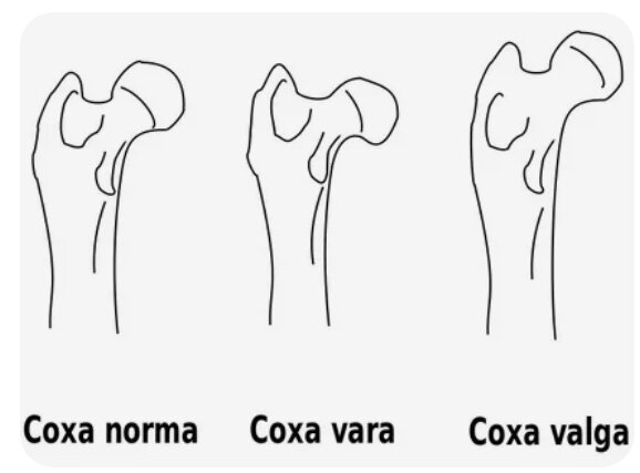 Картинка из открытых источников