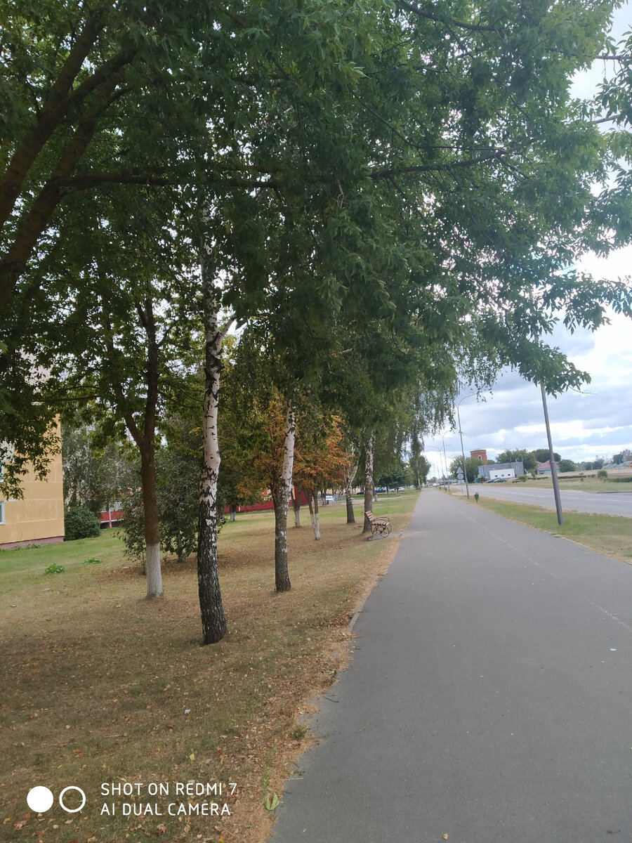 Деревья начинают надевать свой жёлтый наряд 