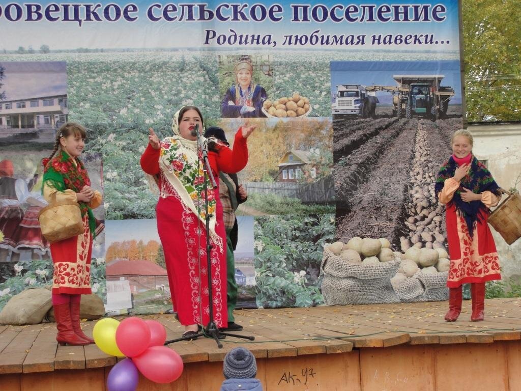 Славится на Вологодской земле праздник-ярмарка "Боровецкая картошка".