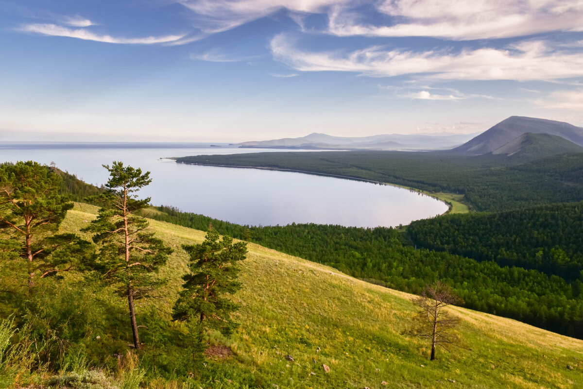 Озера вокруг байкала. Байкал берег лес. Леса вокруг Байкала. Вырубка лесов на Байкале. Байкал лес магистральный.