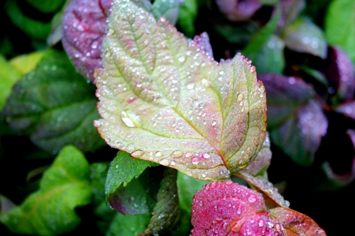    В Тверской области ещё больше похолодает