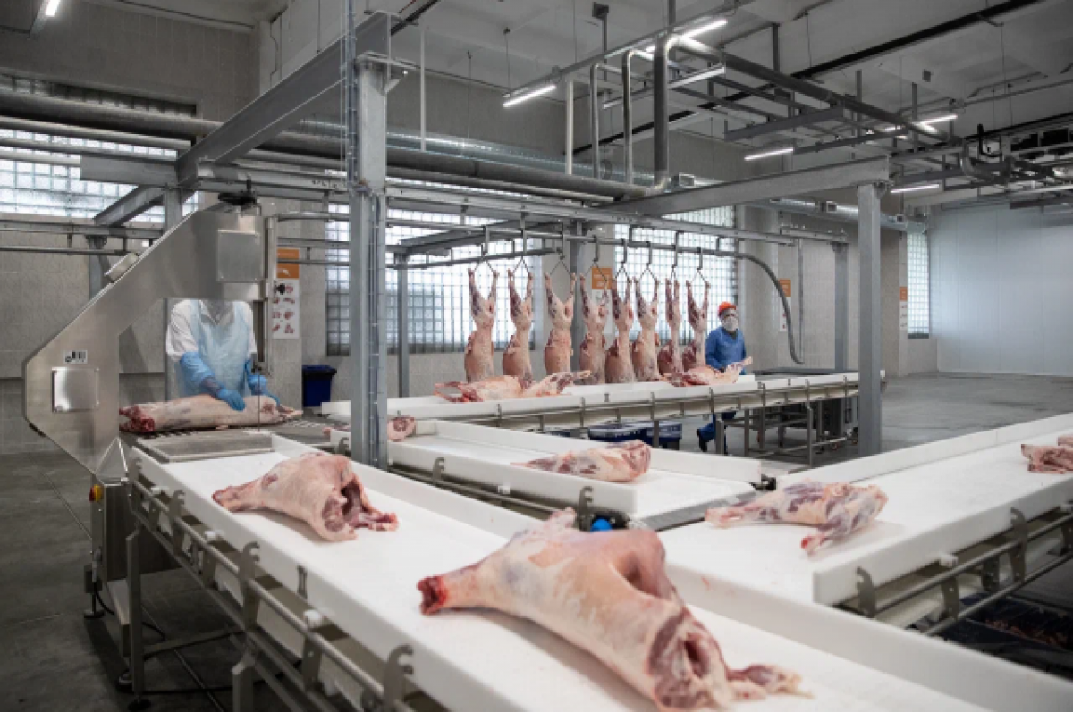   Самый крупный завод по убою и переработке баранины открылся в Черкесске