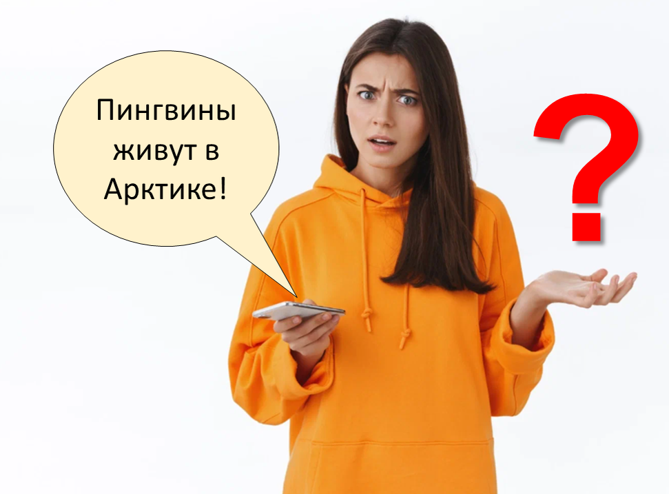 Тест: Правда или Ложь (часть 14) | Твои Тесты | Дзен