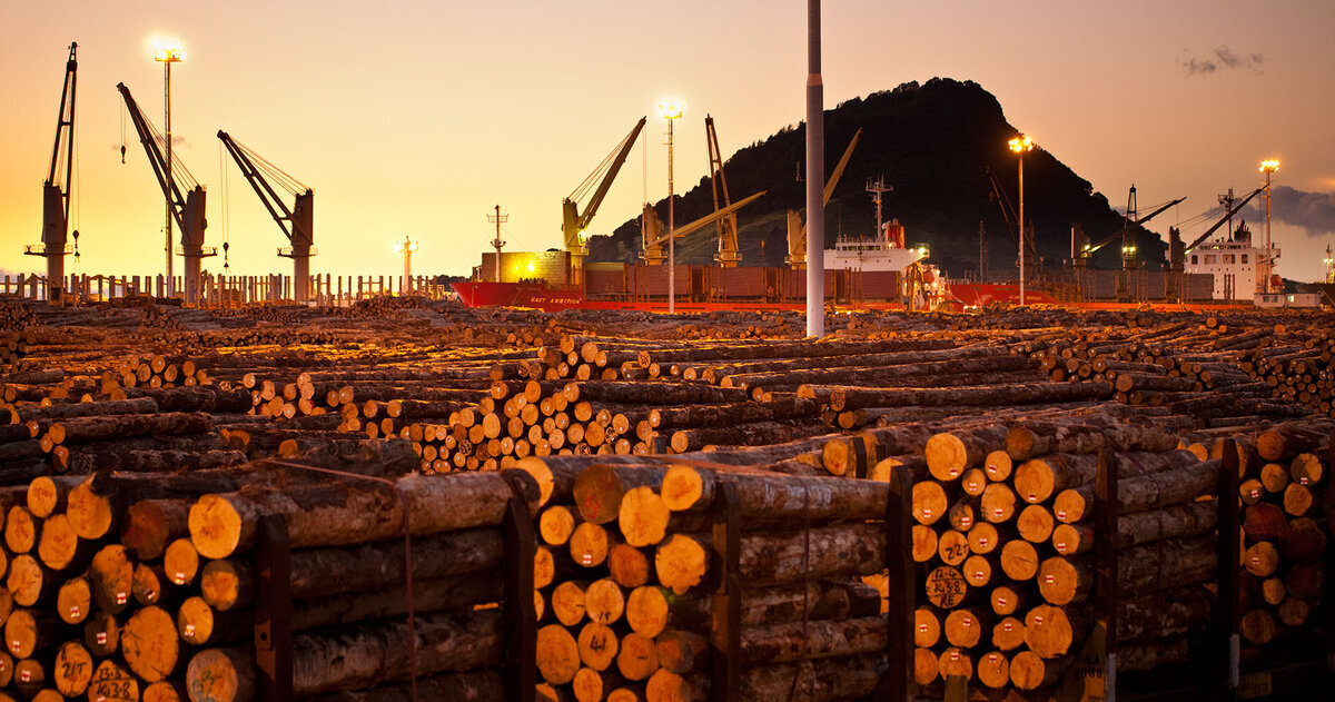 Страны экспортеры тропической древесины. Лесопромышленный комплекс Бразилии. Экспорт леса. Экспорт кругляка. Экспорт круглого леса.