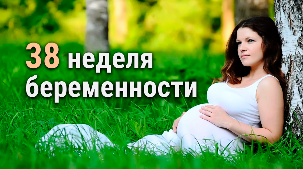 👼🏻 38 неделя беременности 👨‍👩‍👦 | 👶🏻KROHIPRO👶 - Беременность,  питание, подготовка к родам, воспитание детей - Всё о детях и их  родителях🤱🏻 | Дзен