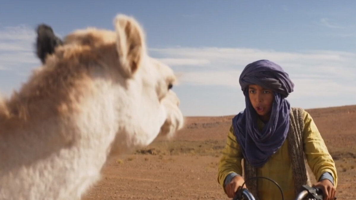 небесный верблюд 2015. тео верблюд. верблюд фото. небесный верблюд трейлер. тео верблюд.