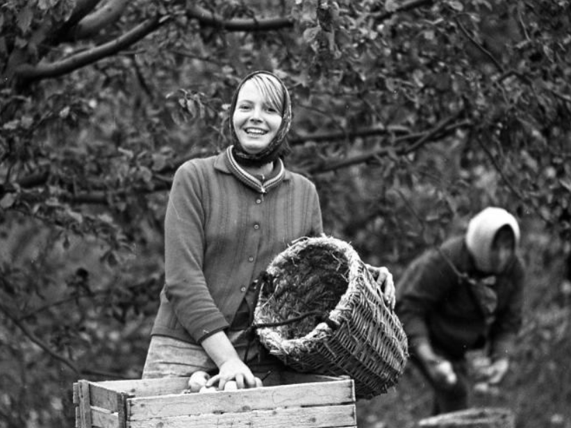 Фото Ю. Садовникова