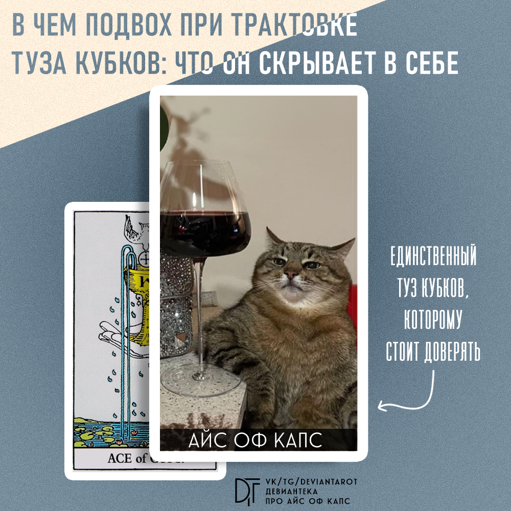 Единственный туз кубков, которому стоит доверять. 
