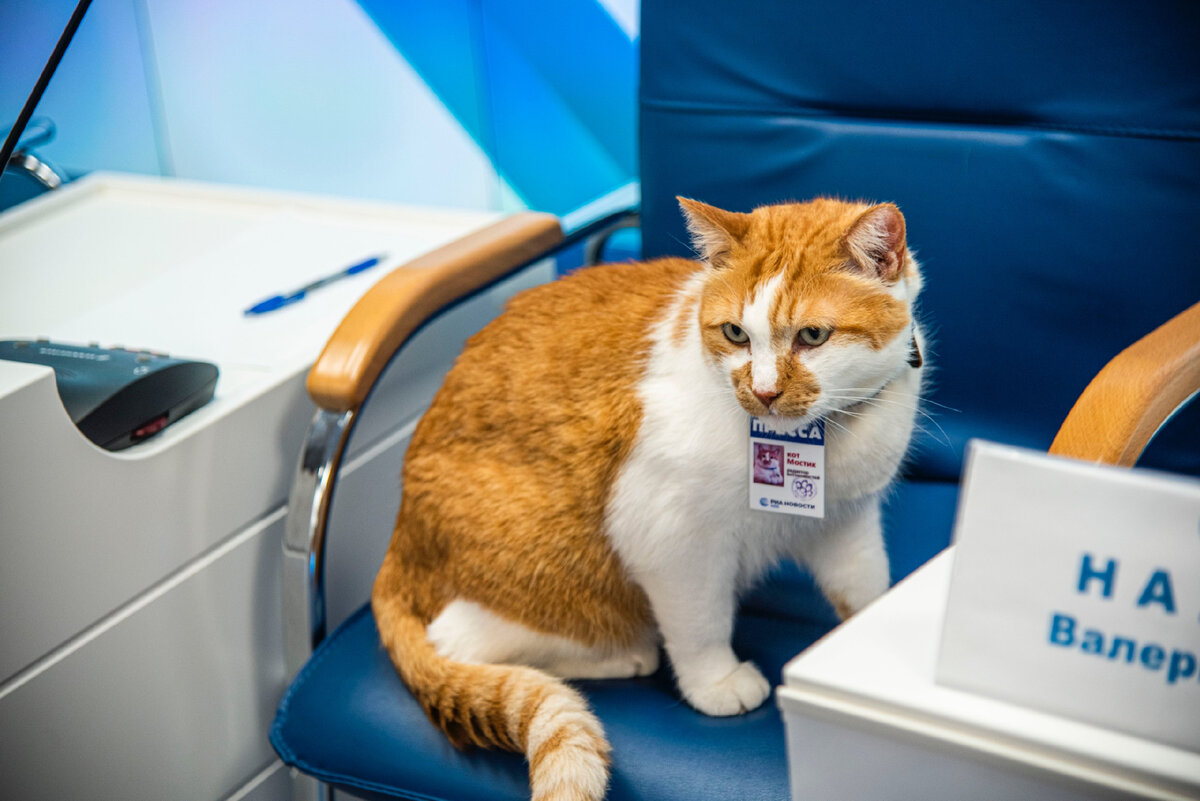 Контролирую работу пресс-центра РИА Новости Крым. 