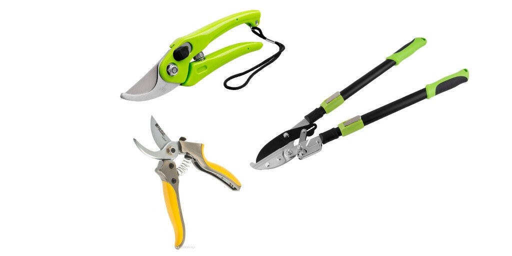 секатор садовая ножница. лучший ручной секатор садовый. лучший садовый секатор. секатор grinda 423421. секатор gardena b/s.
